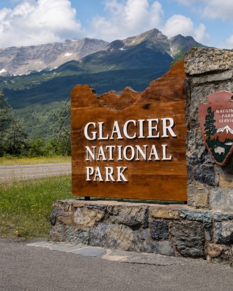 Glacier National Park Bear Attack Suspected After Missing Hiker Found Dead On Mount Brown Trail